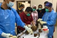 Foto : Kedokteran Forensik Dokpol Polda Sulsel Indentifikasi Korban